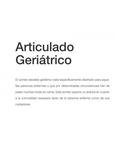 Somier articulado geriátrico con motor 284-70 